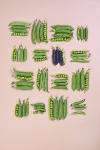 A Plate of Shelling Peas