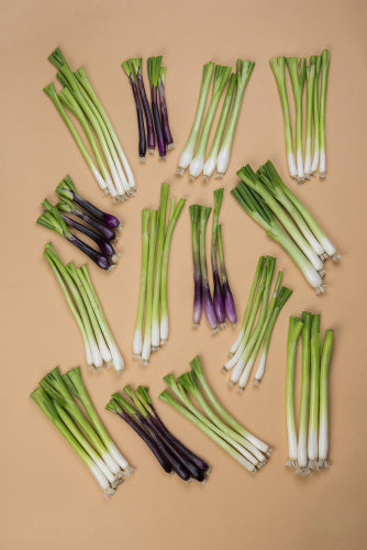 A plate of Salad Onion