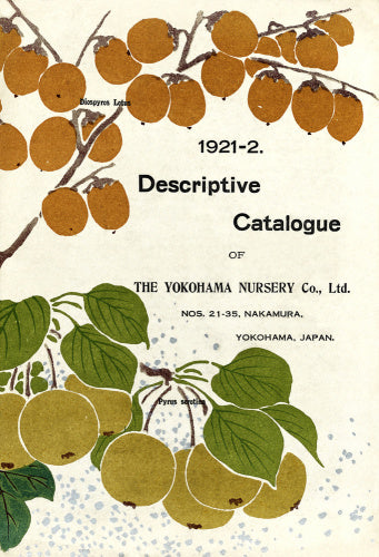 Yokohama Nursery Catalogue, 1921-22